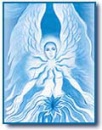 butterfly18