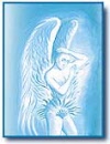 butterfly19