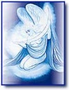 butterfly20