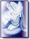 butterfly21