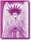 butterfly24