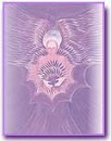 butterfly25