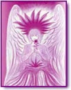 butterfly26