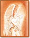 butterfly5