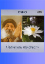 I leave you my dream